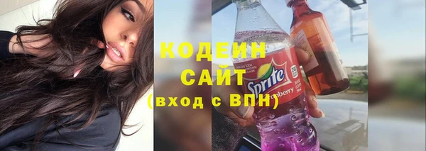 МДПВ Пересвет