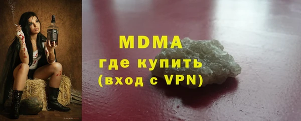 МДПВ Пересвет