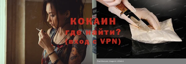 МДПВ Пересвет