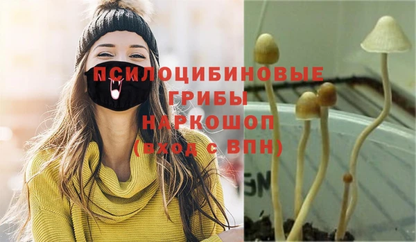 PSILOCYBIN Ельня