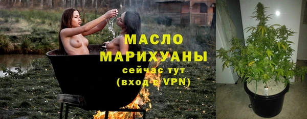 МДПВ Пересвет