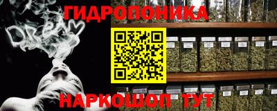спайс Аргун