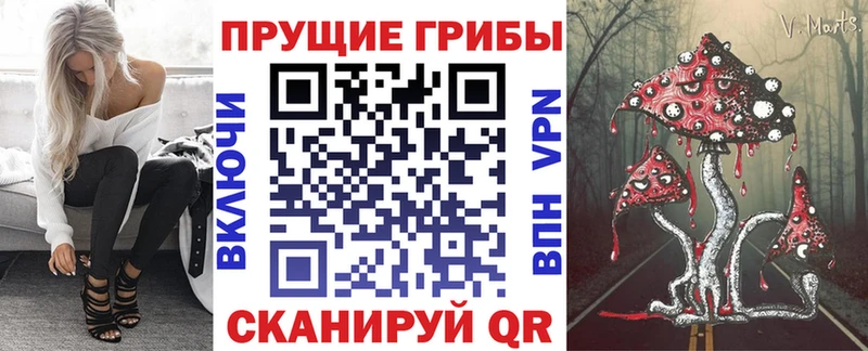 mega ССЫЛКА  Борисоглебск  Галлюциногенные грибы прущие грибы 