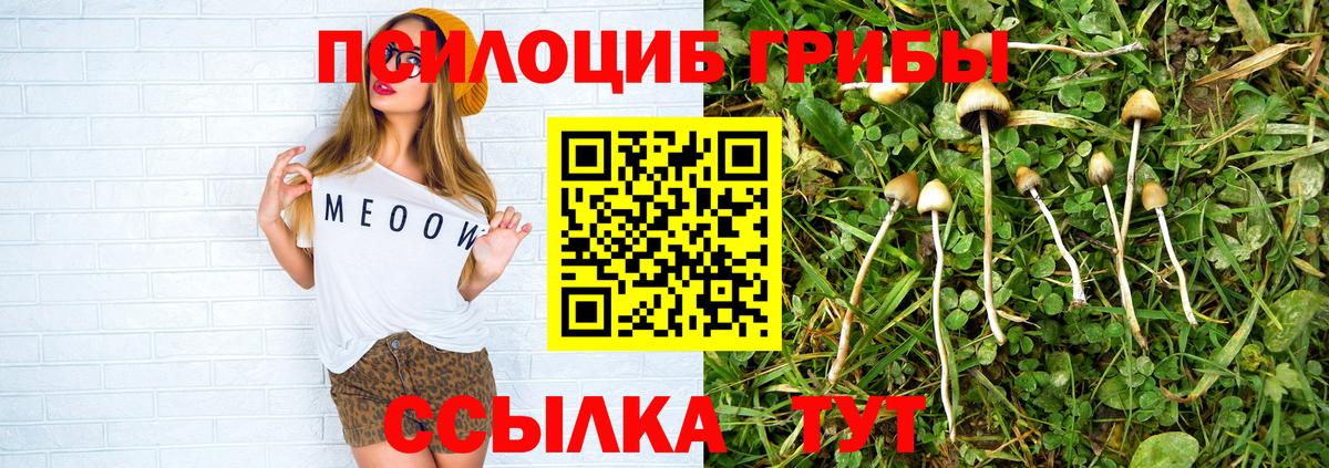 Борисоглебск  Псилоцибиновые грибы ЛСД  Вход с VPN 