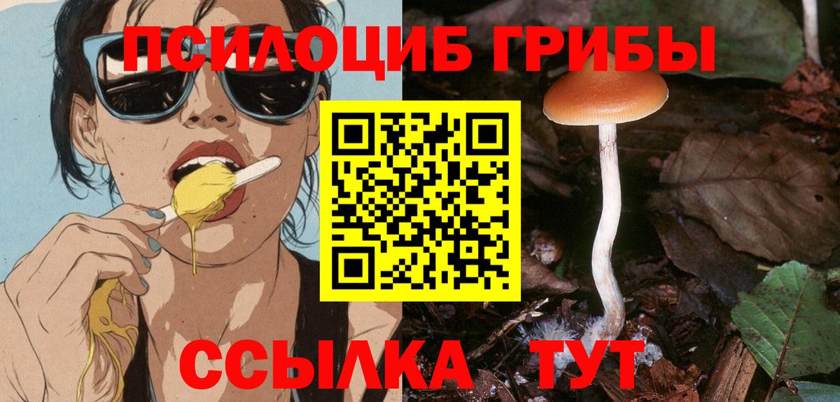 Галлюциногенные грибы мицелий Борисоглебск