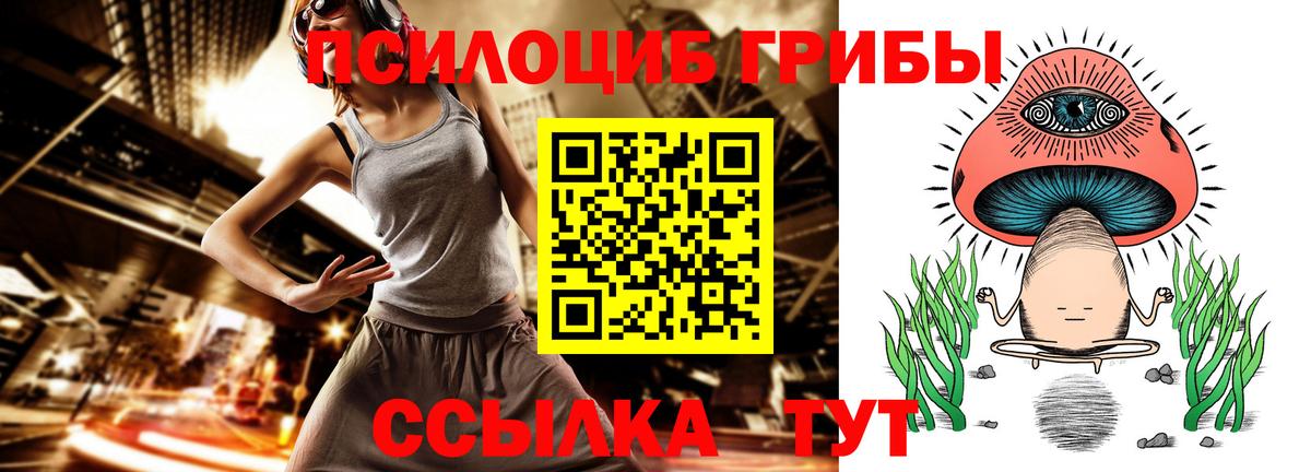 Псилоцибиновые грибы Cubensis Борисоглебск