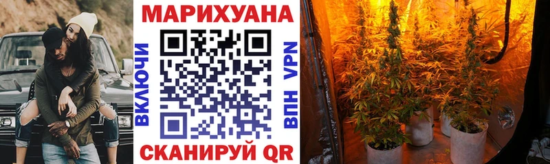сайты даркнета клад Борисоглебск Каннабис индика